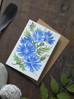 Cikoria kort med kuvert - illustration